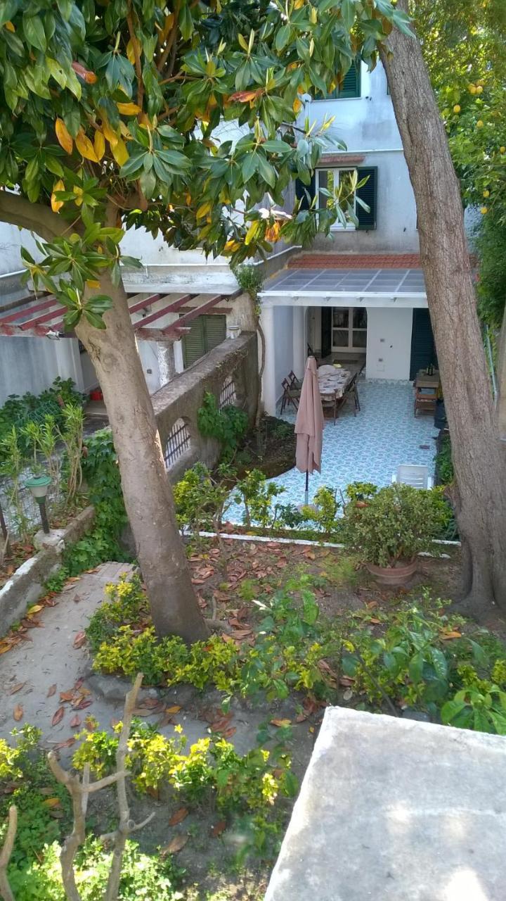 Villa Iscla Maison D'Hotes Ischia Eksteriør billede