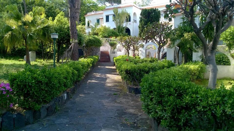 Villa Iscla Maison D'Hotes Ischia Eksteriør billede