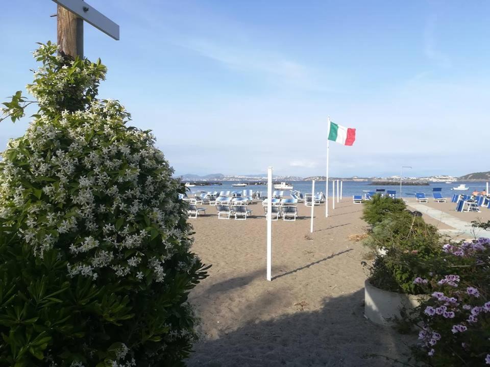 Villa Iscla Maison D'Hotes Ischia Eksteriør billede